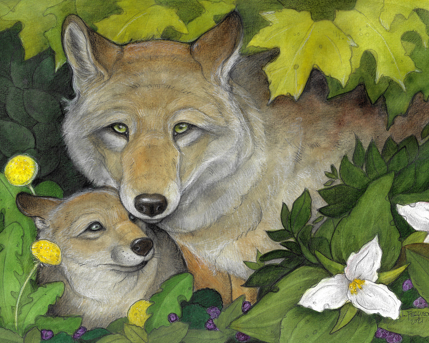 an illustration print of a timber wolf. A wolf pup nuzzles mom. maple leaves, trilliums and dandelions surround mom and pup.