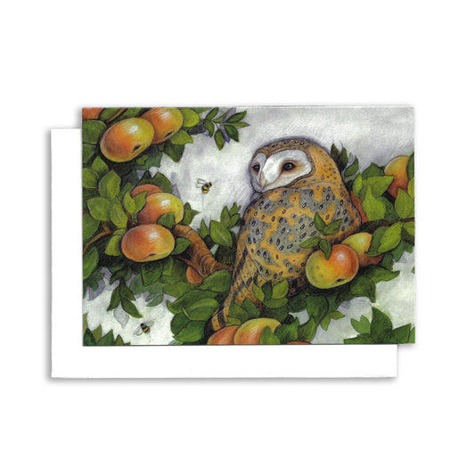 An illustrated greeting card of a barn owl sitting in a Mackintosh apple tree. Two bees fly by.