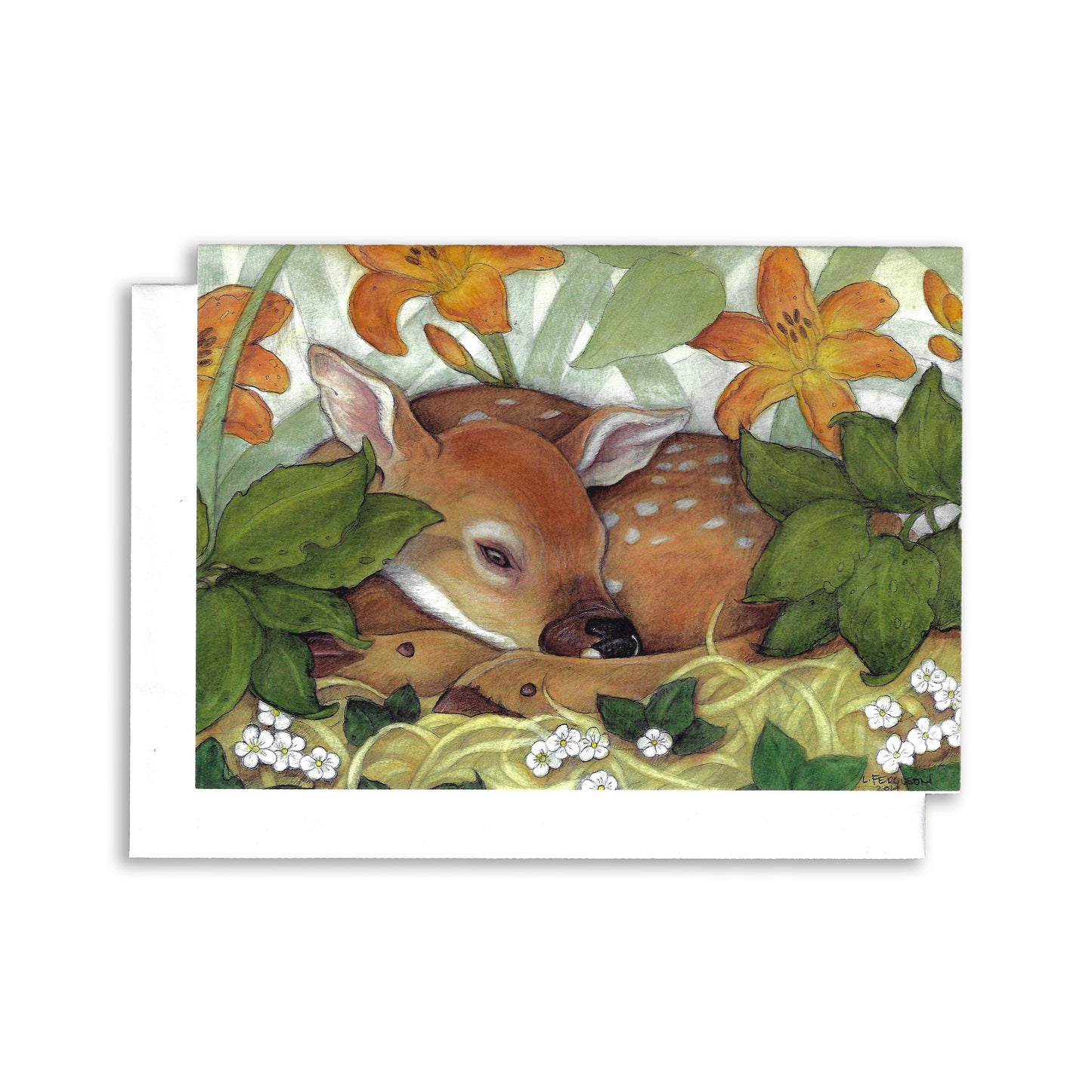 An illustrated greeting card of a fawn sleeping among the tiger lilies and small white flowers.