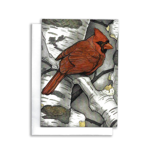 An illustrated greeting card showing one red cardinal sitting in the birch trees.