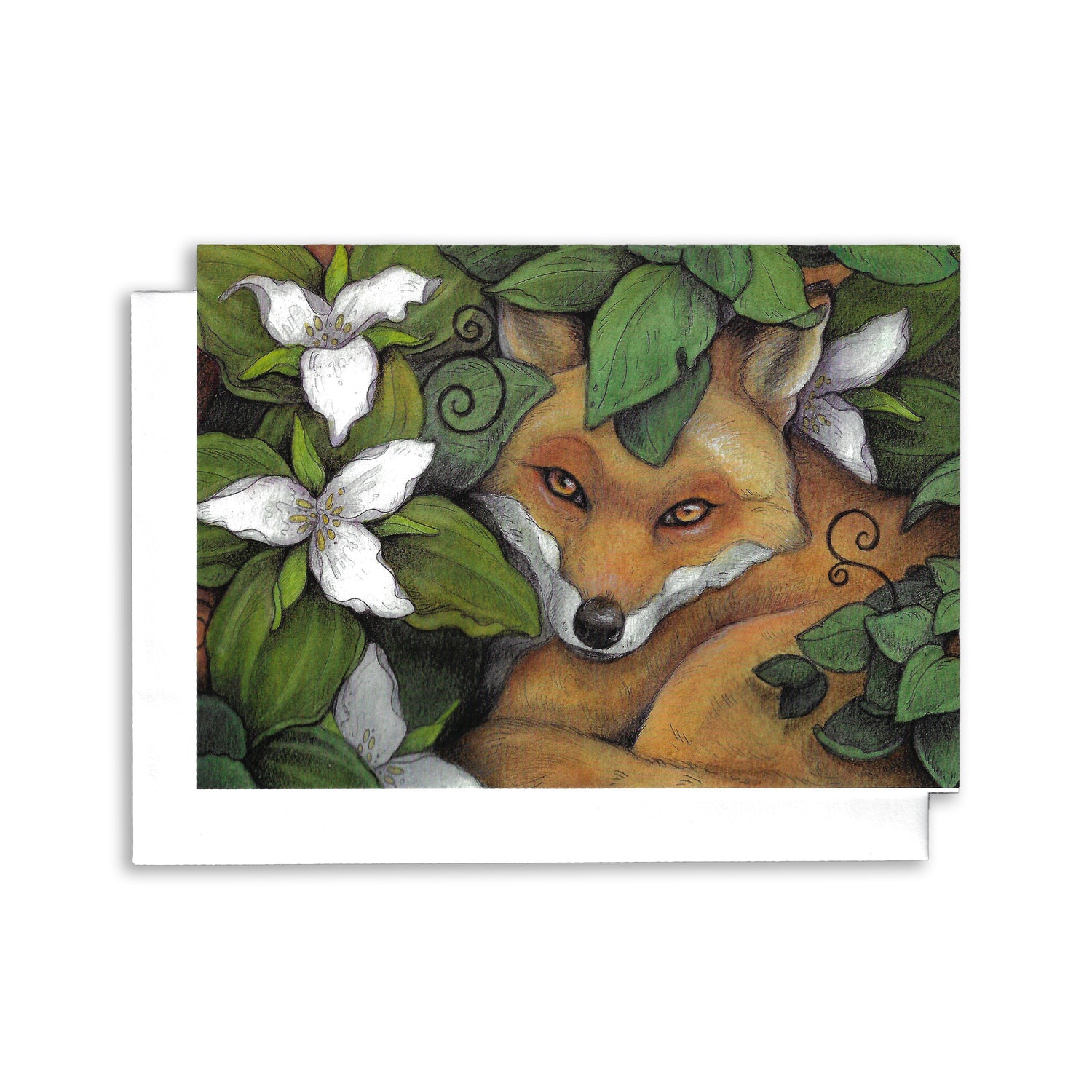An illustrated greeting card of a small fox laying in the trilliums.