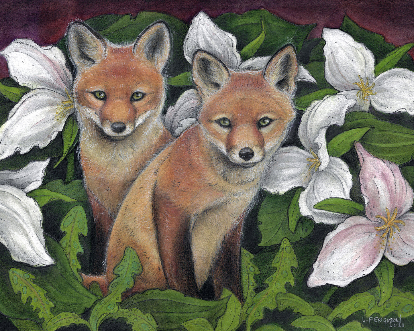 An illustration print showing two small fox kits in a garden of Giant trilliums