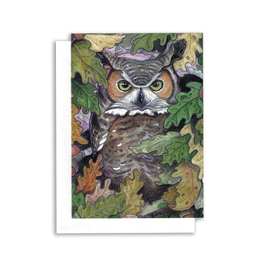 Owl In Oak tree - Greeting Card