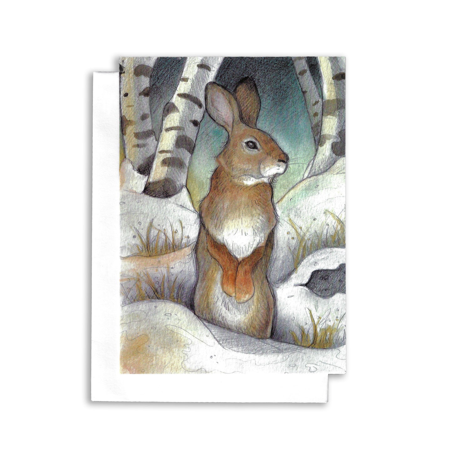 Rabbit in the Birches - Greeting Card
