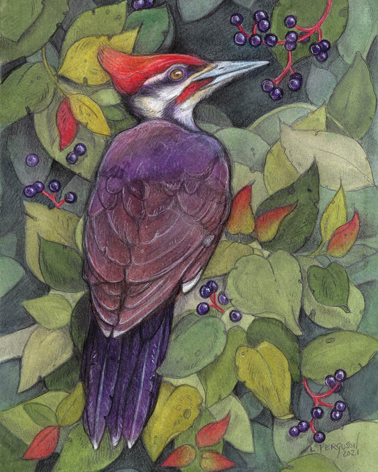 Summer Berries - Print