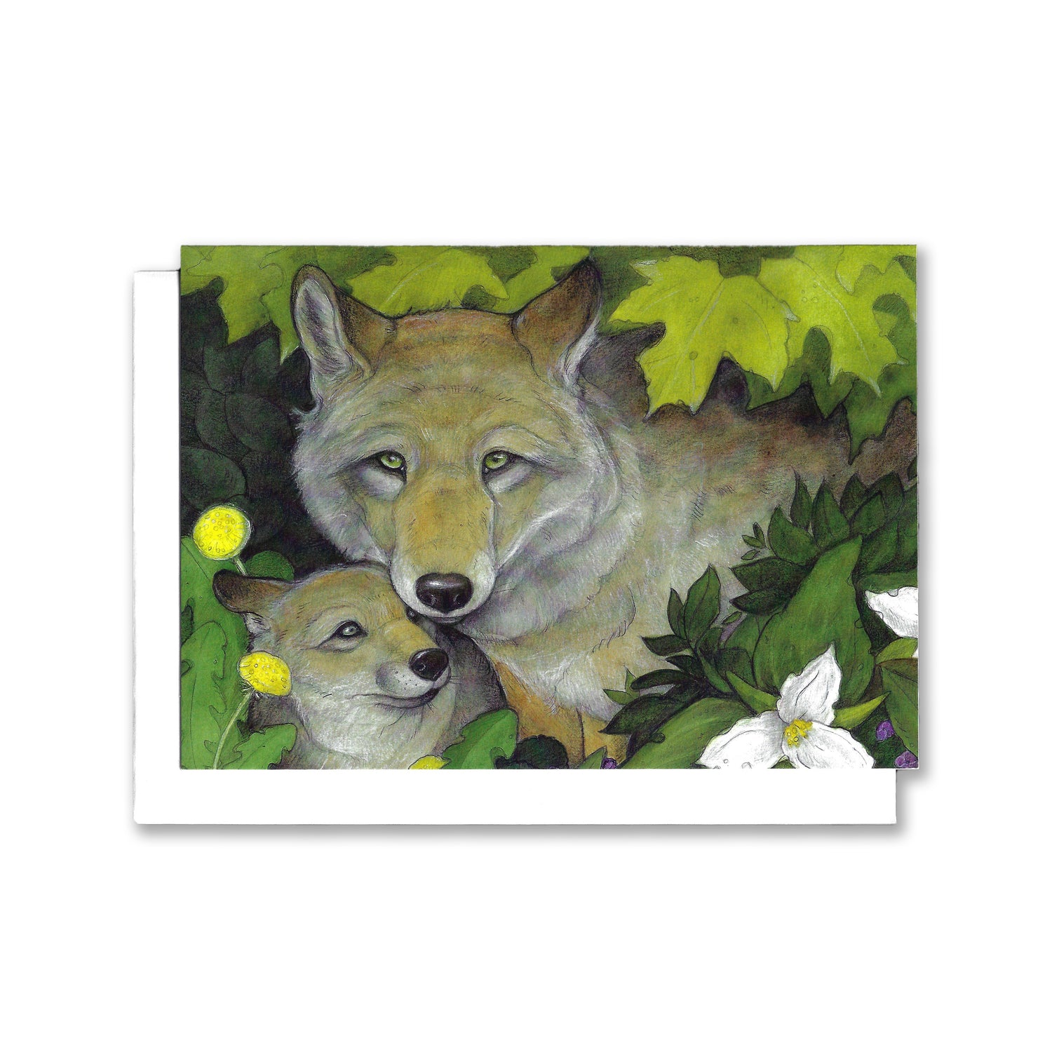 an illustrated greeting card of a timber wolf. A wolf pup nuzzles mom. maple leaves, trilliums and dandelions surround mom and pup.