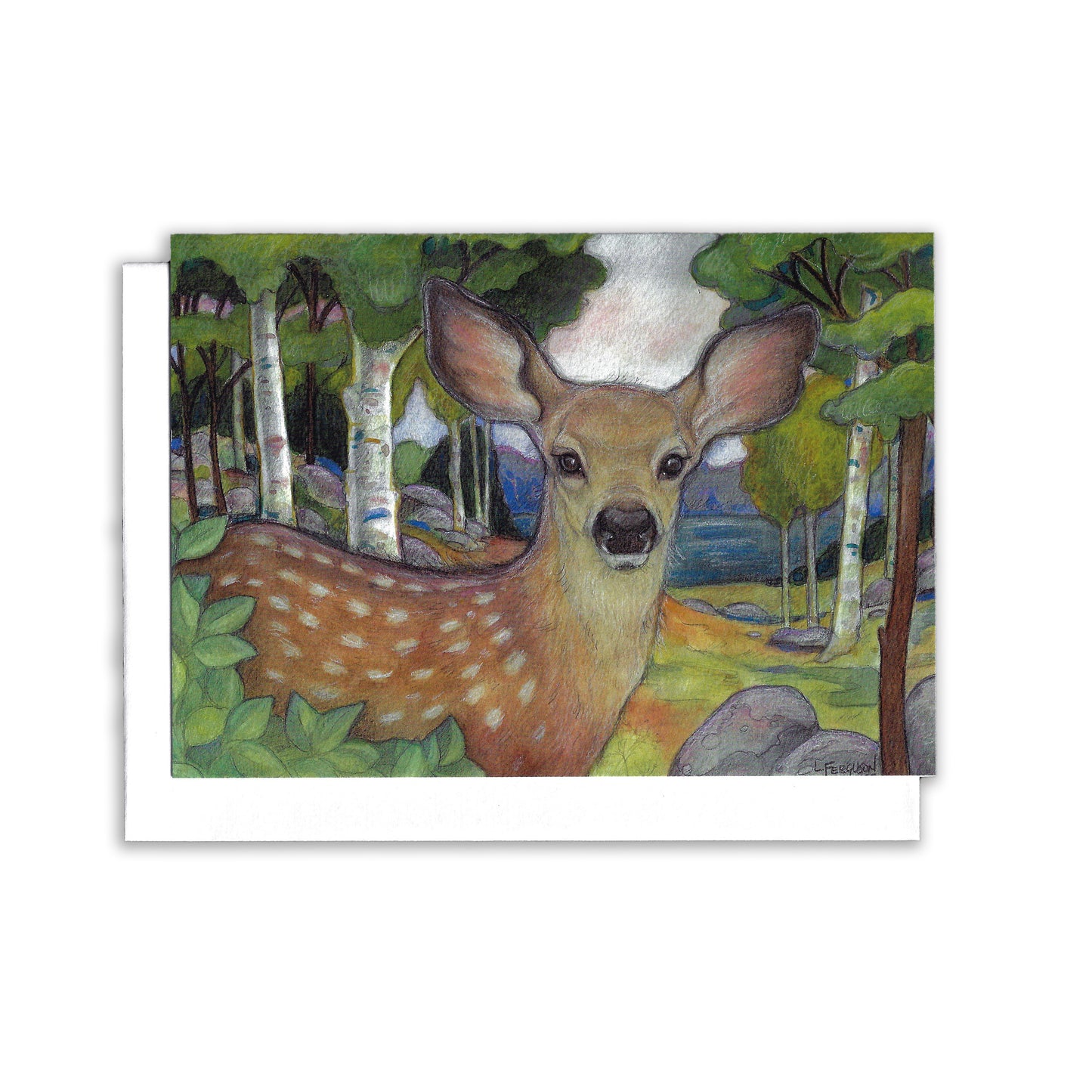 Fawn In The Birches-Greeting Card