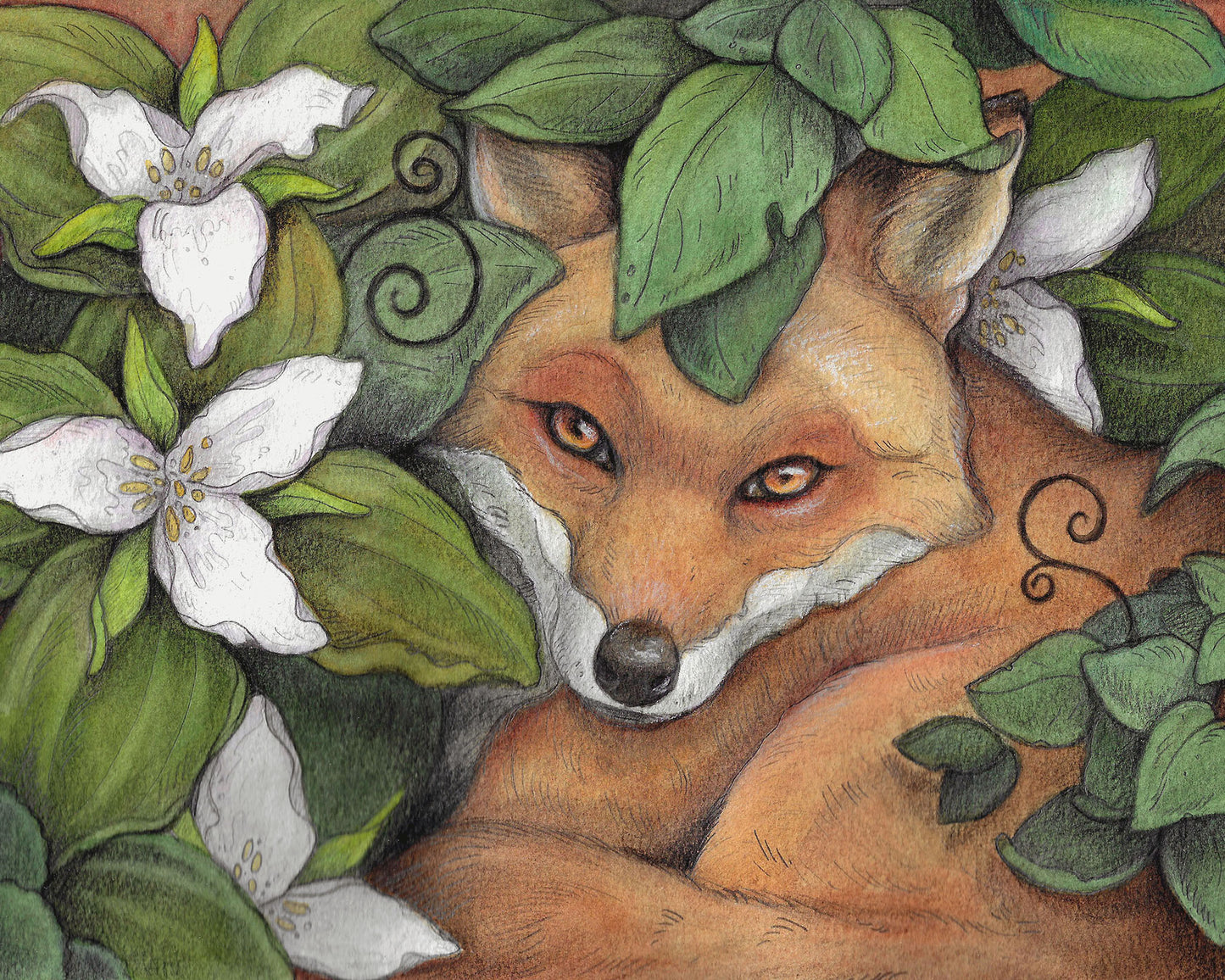 An illustrated print of a small fox laying in the trilliums.