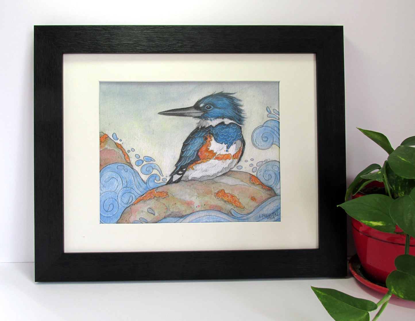 Kingfisher on Rock - Print