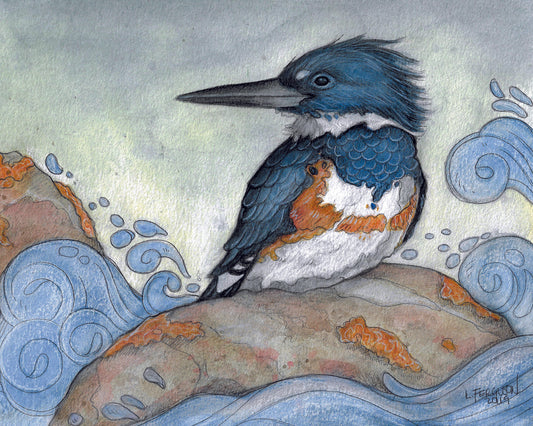 Kingfisher on Rock - Print